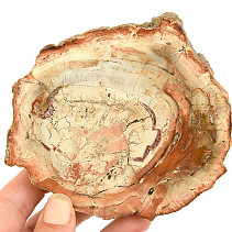 Zkamenělé dřevo plátek z Madagaskaru 269g