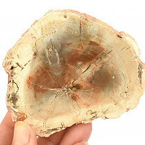 Zkamenělé dřevo plátek z Madagaskaru 156g