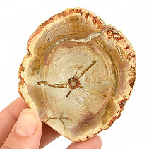 Zkamenělé dřevo plátek z Madagaskaru 86g
