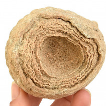 Zkamenělý stromatolit Maroko 369g