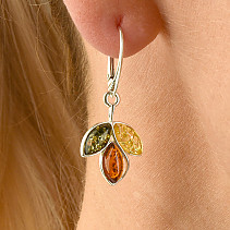 Earrings amber three colored leaves Ag 925/1000