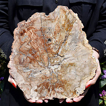 Zkamenělé dřevo dekorační plátek 2212g