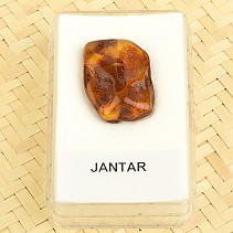 Amber from Lithuania in a box (1.8g)