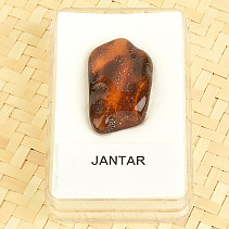 Amber in a box 1.9g (Lithuania)