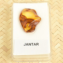Amber 1.6g in a box (Lithuania)