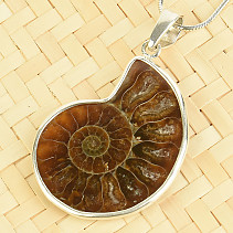 Ammonite pendant silver Ag 925/1000 4.9g