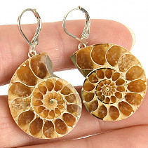 Ammonite clasp earrings Ag 925/1000 12.8g