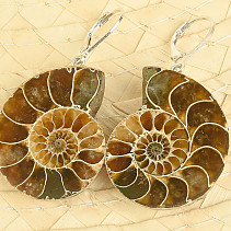 Ammonite clasp earrings Ag 925/1000 15.7g