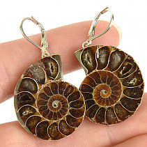 Ammonite clasp earrings Ag 925/1000 13.9g