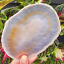 Agate natural slice from Brazil 141g