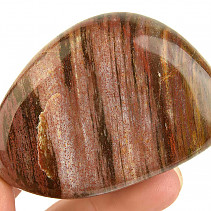 Hladký kámen zkamenělé dřevo (Madagaskar) 137g