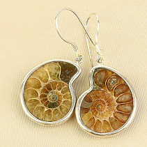 Ammonite earrings light Ag 925/1000 7.5g