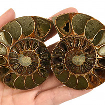 Fossil ammonite pair (Madagascar) 151g