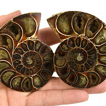 Fossil ammonite pair from Madagascar (201g)