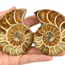 Fossil ammonite pair from Madagascar 221g