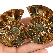 Fossil ammonite pair from Madagascar 86g
