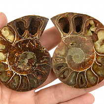 Fosilie amonit pár z Madagaskaru 92g