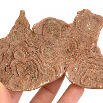Fossil stromatolite Morocco 307g