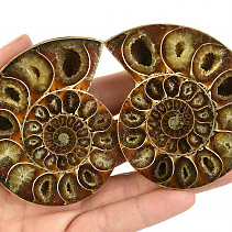 A pair of ammonites from Madagascar 166g