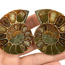 Fossil ammonite pair from Madagascar 75g