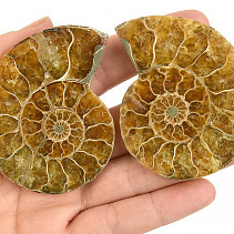 Fossil ammonite pair (Madagascar) 68g