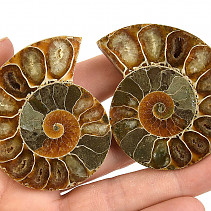 Fossil ammonite pair from Madagascar 74g