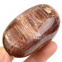 Hladký kámen zkamenělé dřevo (Madagaskar) 147g