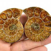 Fossil ammonite pair from Madagascar 71g
