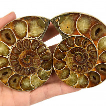 Fossil ammonite pair from Madagascar 249g