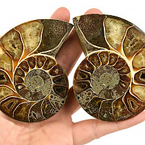 A pair of ammonites from Madagascar 291g