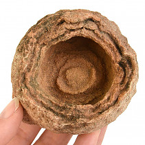 Stromatolit fosilní (Maroko) 353g