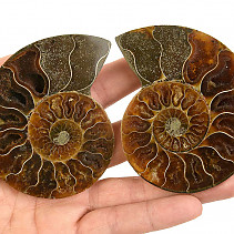 Fossil ammonite pair from Madagascar (129g)
