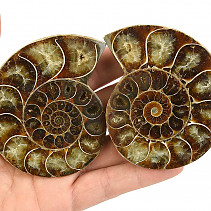 Fossil ammonite pair from Madagascar 182g