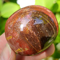 Petrified wood smooth stone from Madagascar (79g)