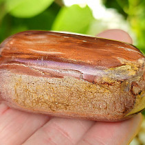 Petrified wood smooth stone from Madagascar 79g