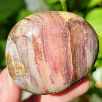 Zkamenělé dřevo hladký kámen z Madagaskaru (102g)