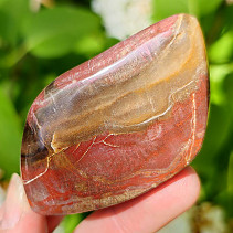 Petrified wood smooth stone from Madagascar 83g