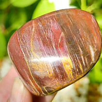Petrified wood smooth stone from Madagascar (114g)