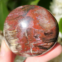 Petrified wood smooth stone (Madagascar) 120g