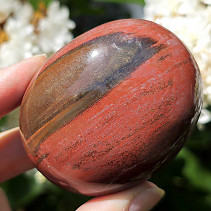 Petrified wood smooth stone (Madagascar) 175g