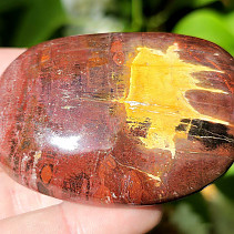 Petrified wood smooth stone from Madagascar 119g