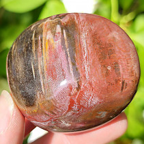 Petrified wood smooth stone from Madagascar 114g
