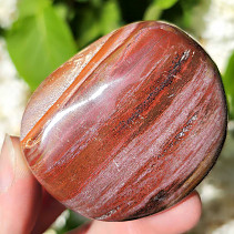 Petrified wood smooth stone (Madagascar) 157g