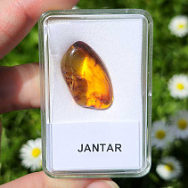 Polished amber from Lithuania (2.0g)