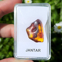 Polished amber 1.5g (Lithuania)