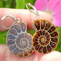 Ammonite clasp earrings Ag 925/1000 11.6g