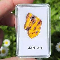 Polished amber (Lithuania) 1.4g