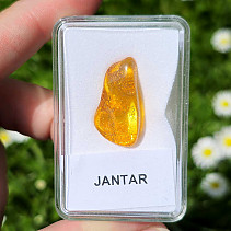 Polished amber (Lithuania) 1.6g