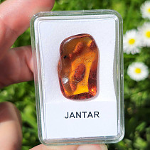 Polished amber from Lithuania 2.5g