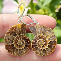 Ammonite clasp earrings Ag 925/1000 8.7g